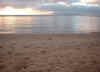sandpipers-in-sand,-ocean,-.jpg (43704 bytes)